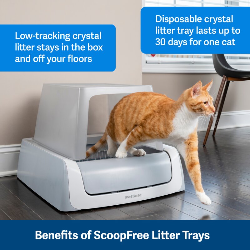 Litter shops box trays